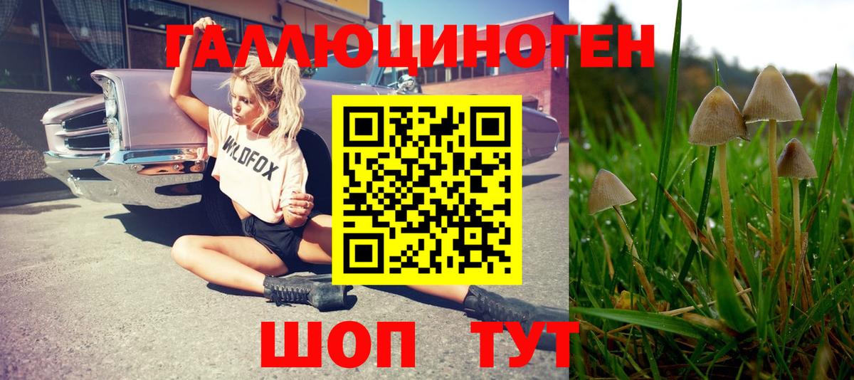 Псилоцибиновые грибы прущие грибы Скопин